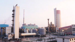 Sinopec Group, ...